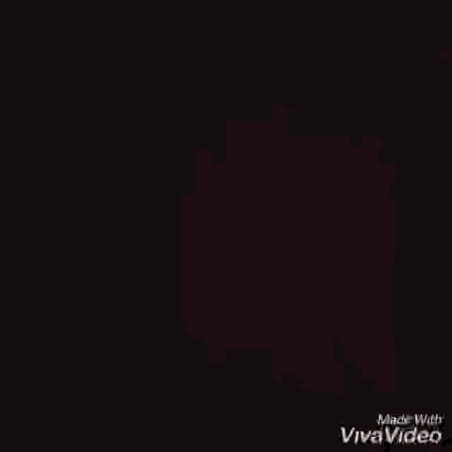 a blurry picture of a person 's face with the words made with vivavideo at the bottom