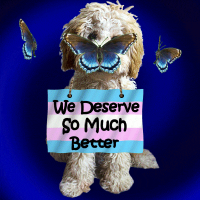 a dog is holding a sign that says " we deserve so much better "
