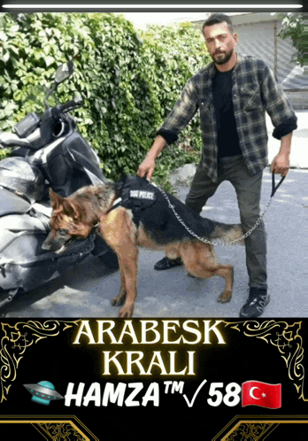 a man standing next to a german shepherd wearing a dog police harness