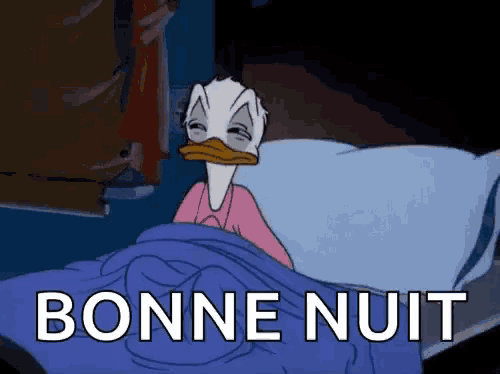 donald duck is laying in bed with the words bonne nuit written on the bottom
