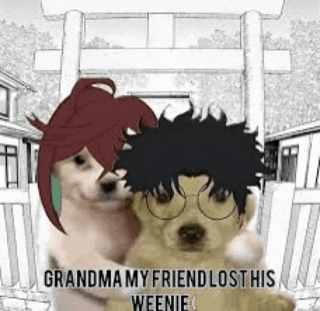 a dog with glasses is hugging a dog with a wig on .