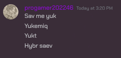 a screenshot of a chat with the name progamer202246 today at 3:20 pm