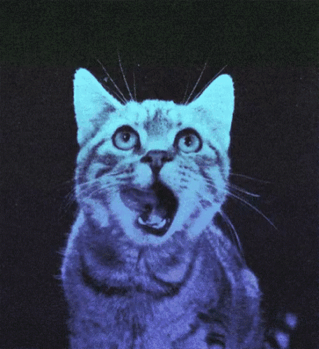 a cat with its mouth open is glowing blue