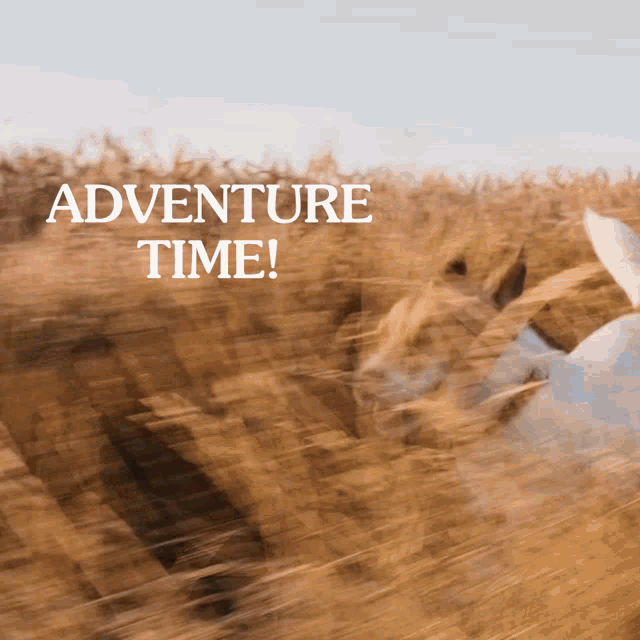 Running Adventure GIF - Running Adventure Adventure Time GIFs