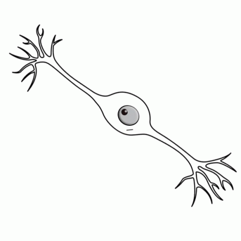 Neuron Bipolar GIF
