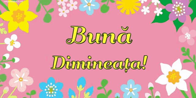 a pink background with flowers and the words " buna dimineata " in yellow