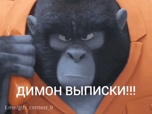 a cartoon gorilla talking on a phone with a caption that says t.me/gifs contest_0