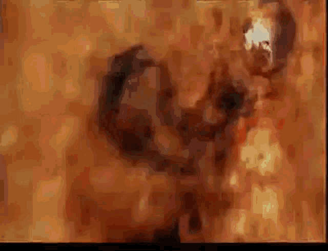 Coding Hell GIF - Coding Hell GIFs