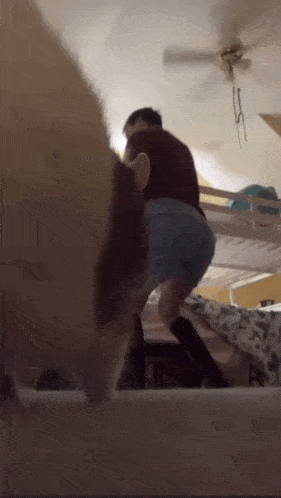 a man standing on top of a bunk bed looking at a cat