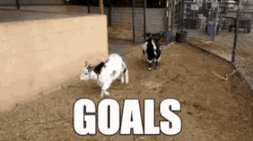 two goats are running in a dirt field with the words goals written in white
