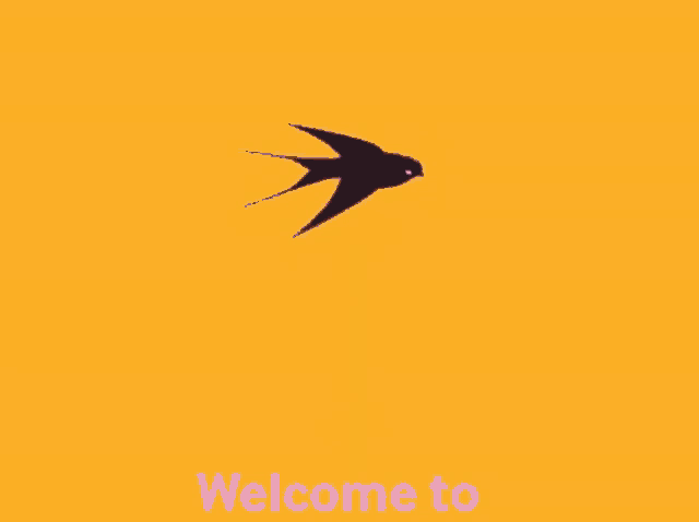 a meadowlark airlines ad with a purple background