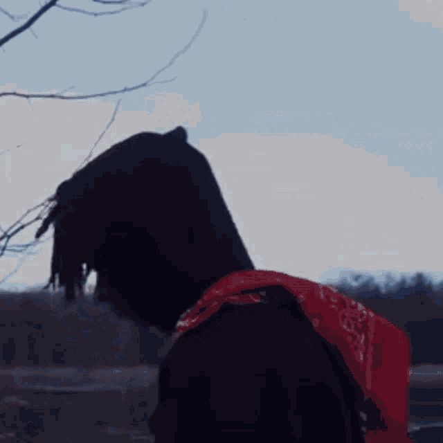 a person standing under a gazebo with a roof that has shingles on it