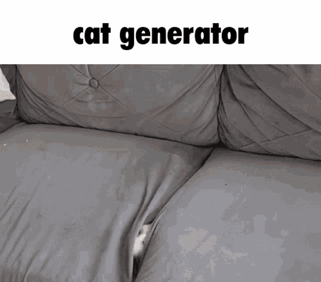 Cat Generator GIF - Cat Generator Hiding GIFs