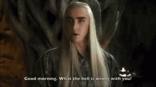 The Hobbit Thranduil GIF - The Hobbit Thranduil Good Morning What The Hell Is Wrong With You GIFs