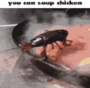 a cockroach is eating a piece of chicken and a person is holding a knife .