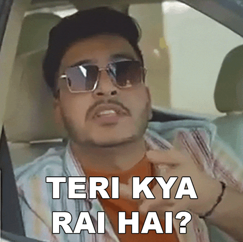 a man wearing sunglasses says " teri kya rai hai " while sitting in a car
