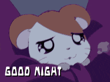 a cartoon hamster is laying in a bed with the words good night below it