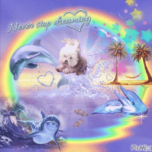 a picture of dolphins with the words never stop dreaming