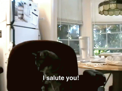 Cat Salutes His Owner GIF - Cat Salute Cats GIFs