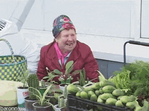 an elderly woman is sitting in front of a table full of potted plants and laughing ..