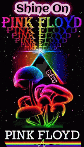 Pink Floyd Dr Joy GIF - Pink Floyd Dr Joy Shine On GIFs