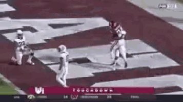 a group of football players are playing a game on a football field .