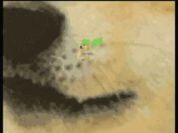 a pixelated image of a dog with the word gif visible