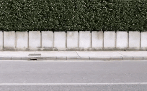 a road with a concrete curb and a hedge in the background .