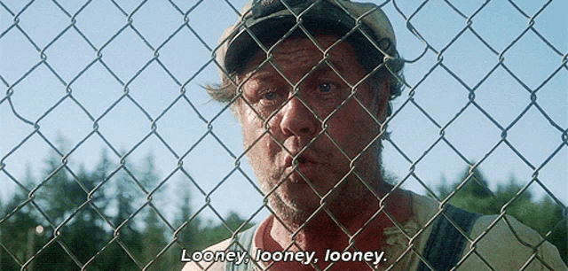 a man behind a chain link fence says looney