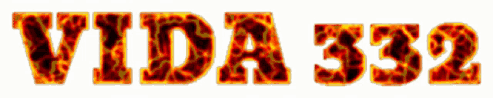the word vida is on a white background with flames