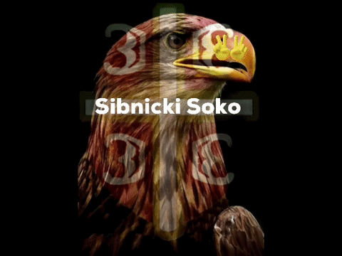 Sibnicki Soko1 GIF - Sibnicki Soko1 GIFs