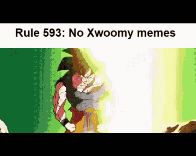 Rule Rule593 GIF