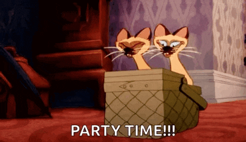 a cartoon of two cats sitting in a box with the words `` party time '' .