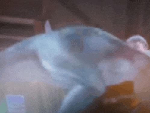a blurred image of a person 's face with a blue shirt on