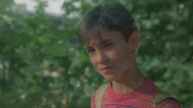 Stand By Me Will Wheaton GIF - Stand By Me Will Wheaton River Phoenix GIFs