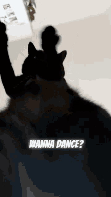 a silhouette of a cat with the words " wanna dance " on the bottom