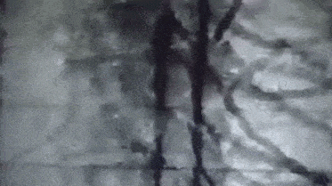 a black and white painting of a person standing in a cave .