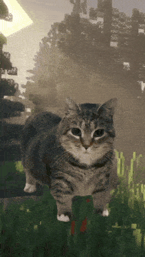 a cat is standing in a minecraft world