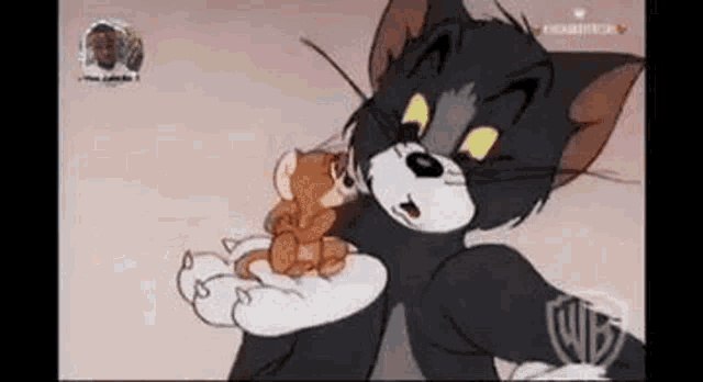 Punch Tom And Jerry GIF - Punch Tom And Jerry Peek GIFs