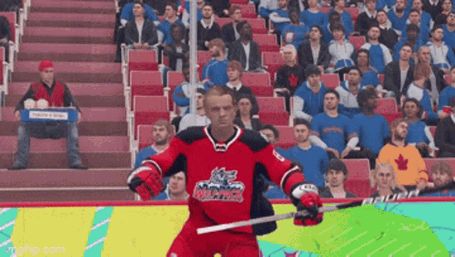 a hockey player is holding a hockey stick in front of a crowd .