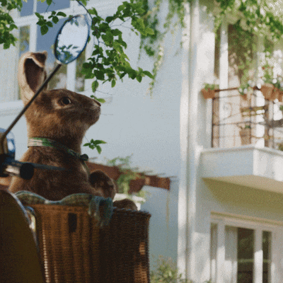 a rabbit is sitting in a wicker basket with a rear view mirror attached to it