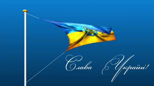 Ukraine Slava Ukraini GIF - Ukraine Slava Ukraini Flag GIFs