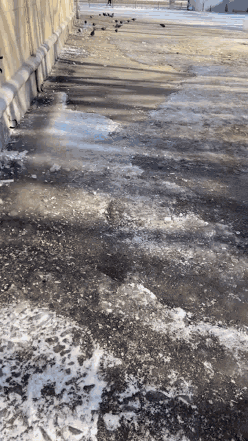 a sidewalk with ice and snow on it