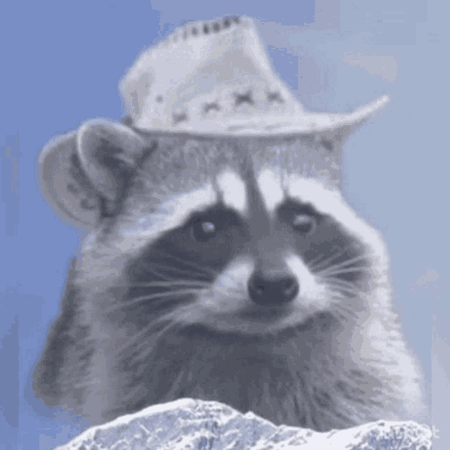 a raccoon wearing a cowboy hat is standing in front of a snowy mountain