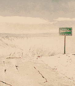 a green sign on a pole that says ' welcome to salt lake city ' on it