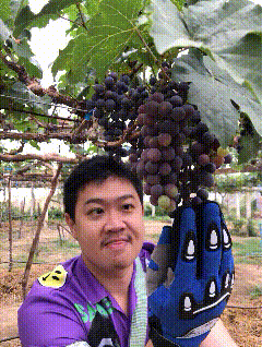 a man wearing a purple shirt and a blue glove holds a bunch of grapes
