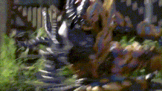 a blurred image of a statue of a dragon in the grass