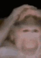 a blurry picture of a person 's face with their hands on their head .