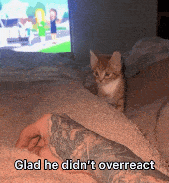 a picture of a kitten with a caption that says glad he did n't overreact