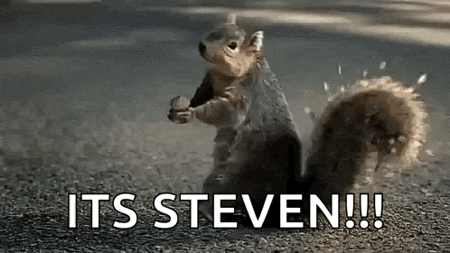 a squirrel is standing on its hind legs holding a nut and says it 's steven !!!